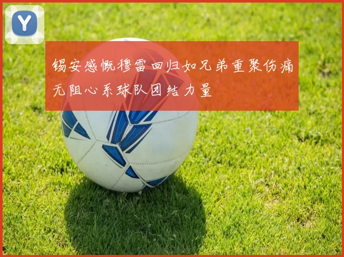 锡安感慨穆雷回归如兄弟重聚伤痛无阻心系球队团结力量
